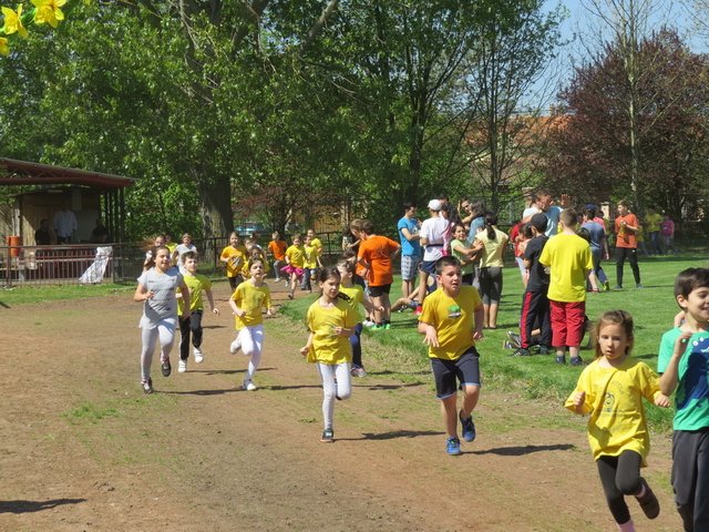 Nárcisz futás 2018 114